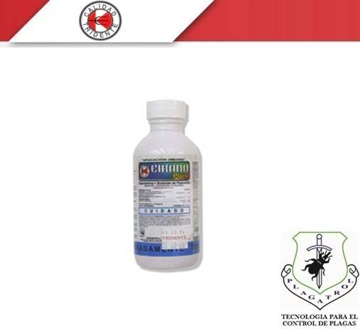 CIRANO PLUS